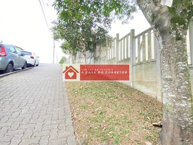 Apartamento para Locação em Caxias do Sul - 2