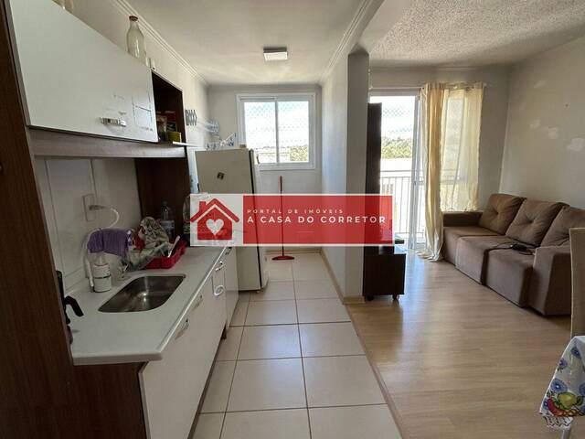 Apartamento para Venda em Caxias do Sul - 4