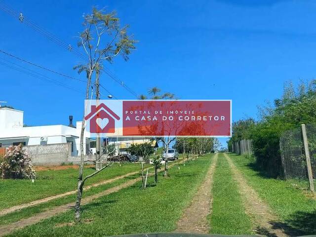 Terreno para Venda em Santa Maria - 5
