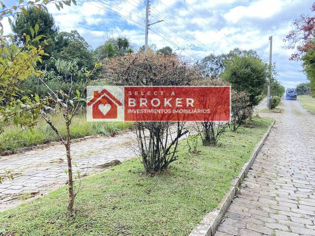 #141 - Chácara para Venda em Caxias do Sul - RS