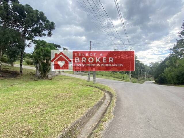 #141 - Chácara para Venda em Caxias do Sul - RS