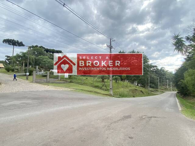 #141 - Chácara para Venda em Caxias do Sul - RS