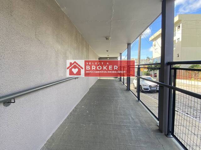Apartamento para Locação em Caxias do Sul - 3